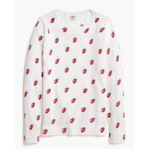 nwot j.crew strawberry teddie sweater in cottage berry xs lightweight top